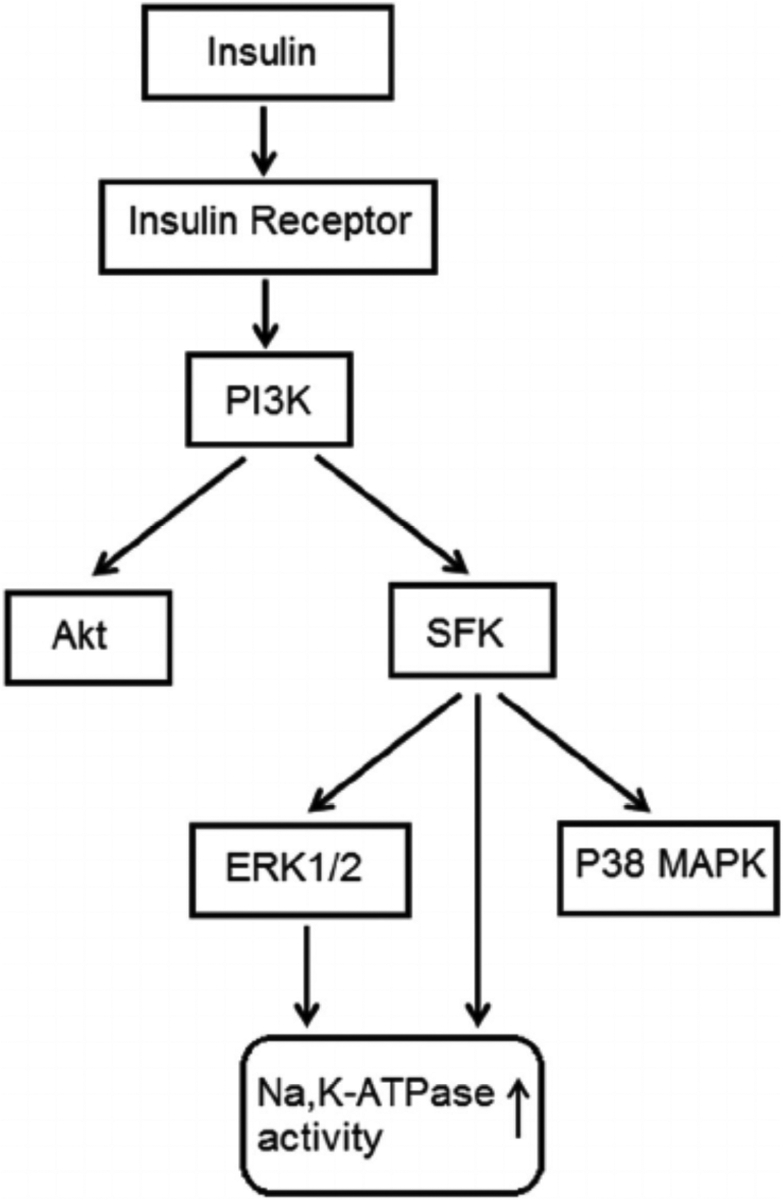 Fig. 10.