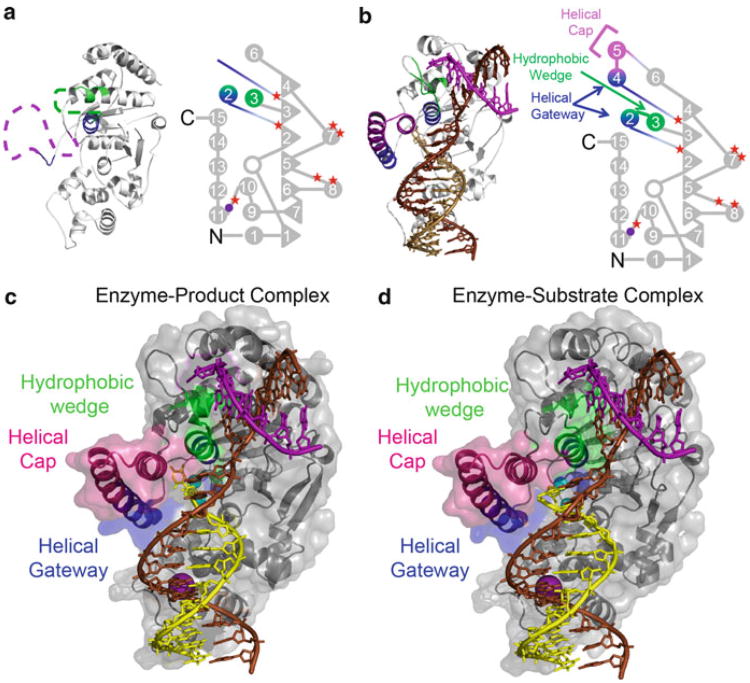 Fig. 16.3