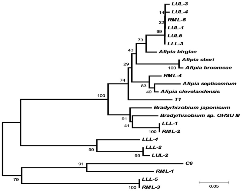 Figure 6