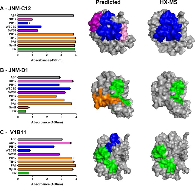 FIG 6