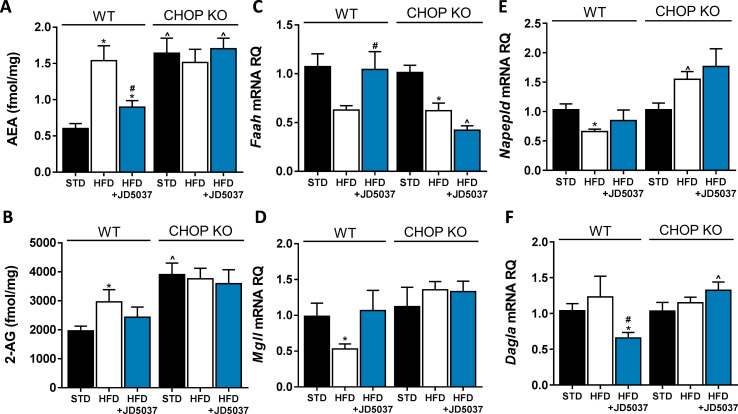 Figure 3—figure supplement 2.