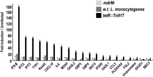 Fig. 4.