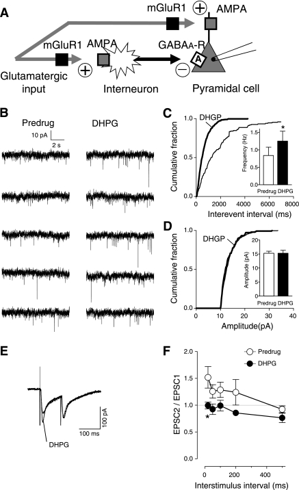 Fig. 9.