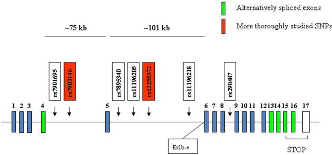 Figure 7