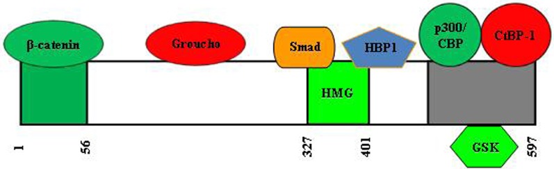 Figure 6