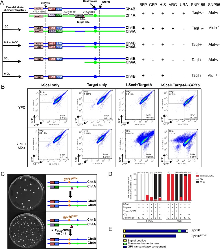 FIG 2 