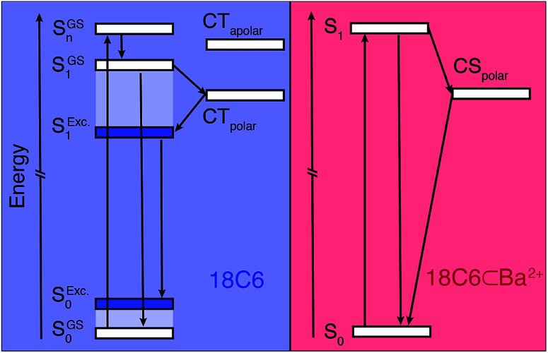 Fig. 5