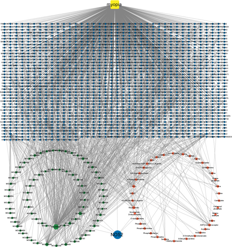 Fig 5