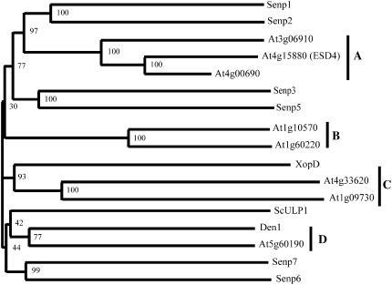 Figure 7.