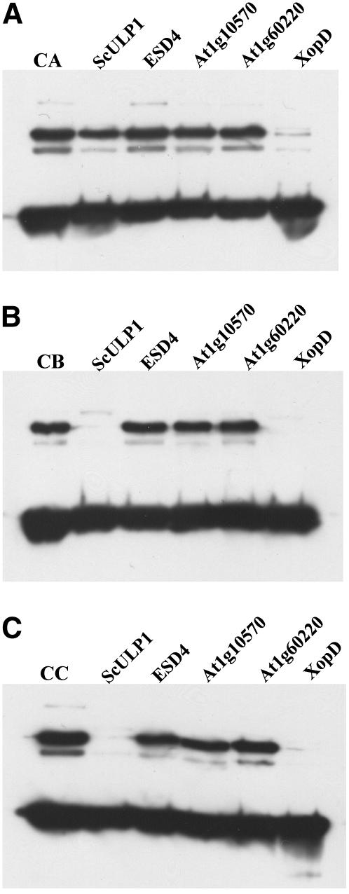 Figure 9.