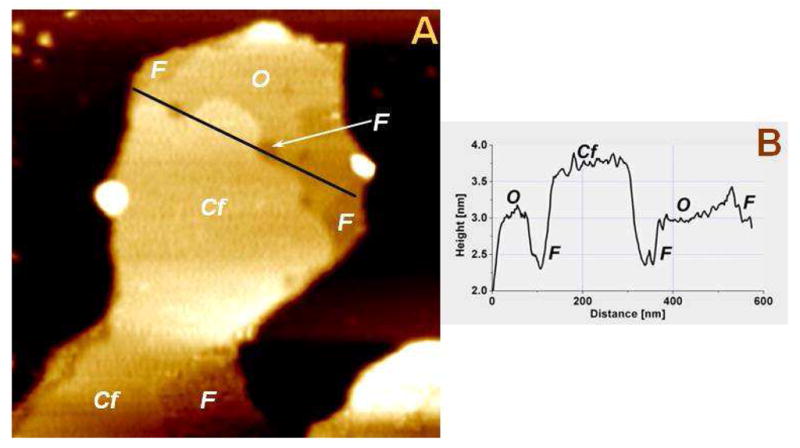 Fig. 7