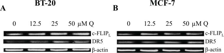 Figure 10.