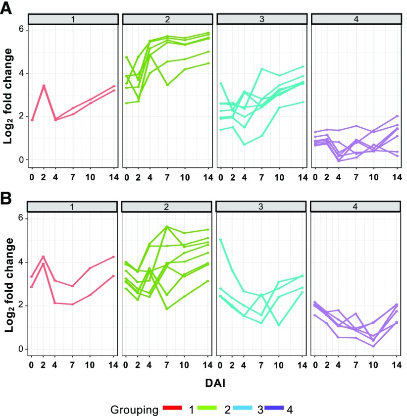 Figure 4.