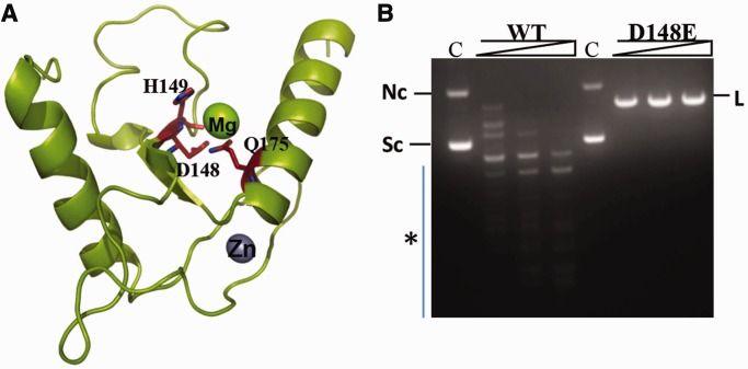 Figure 1.