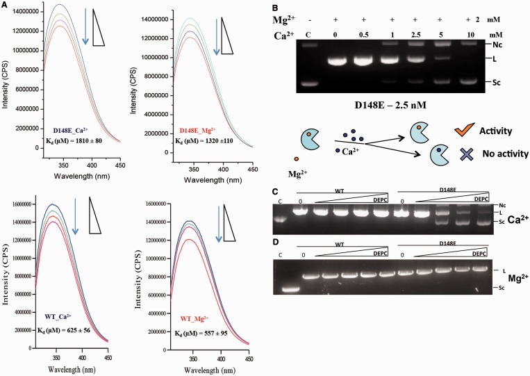 Figure 2.