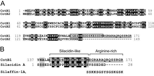 FIG 1