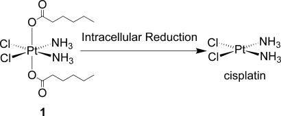 Scheme 1.