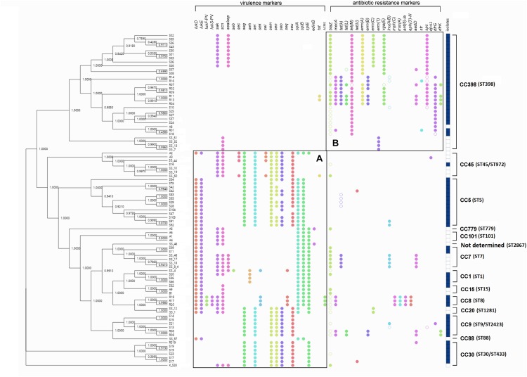 FIGURE 2