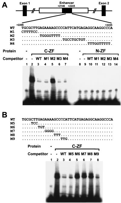 FIG. 5