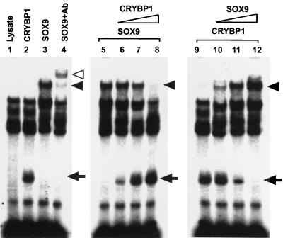 FIG. 7