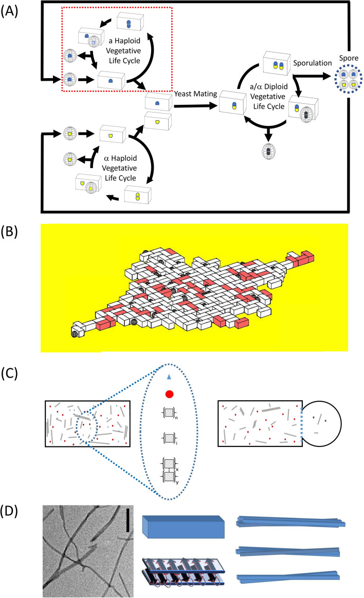 Fig. 1