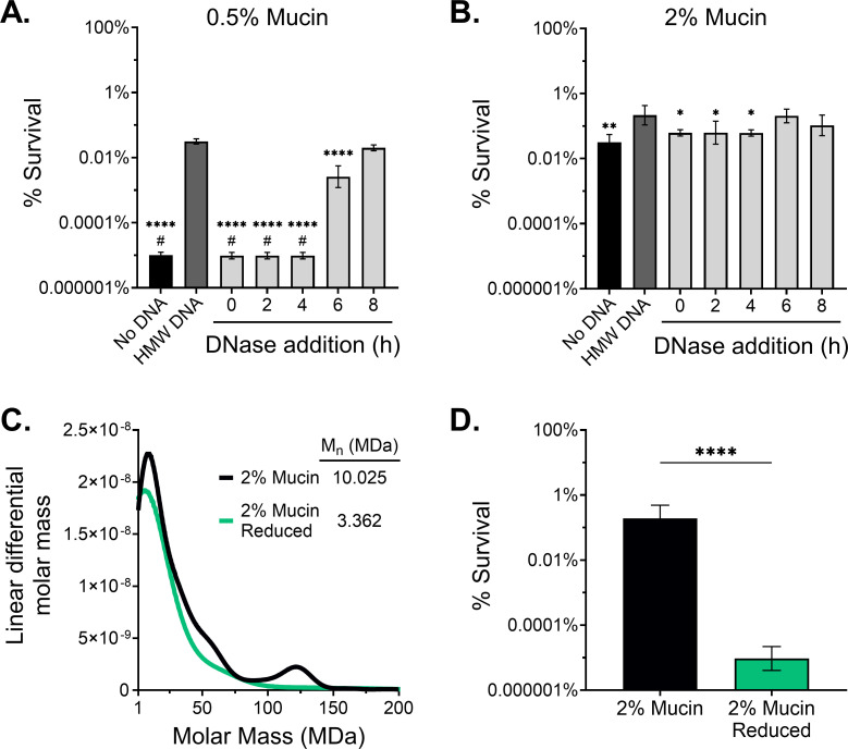 Graphs plot survival percent in conditions of reduced eDNA or mucin polymers before and after treatment with mucolytics.