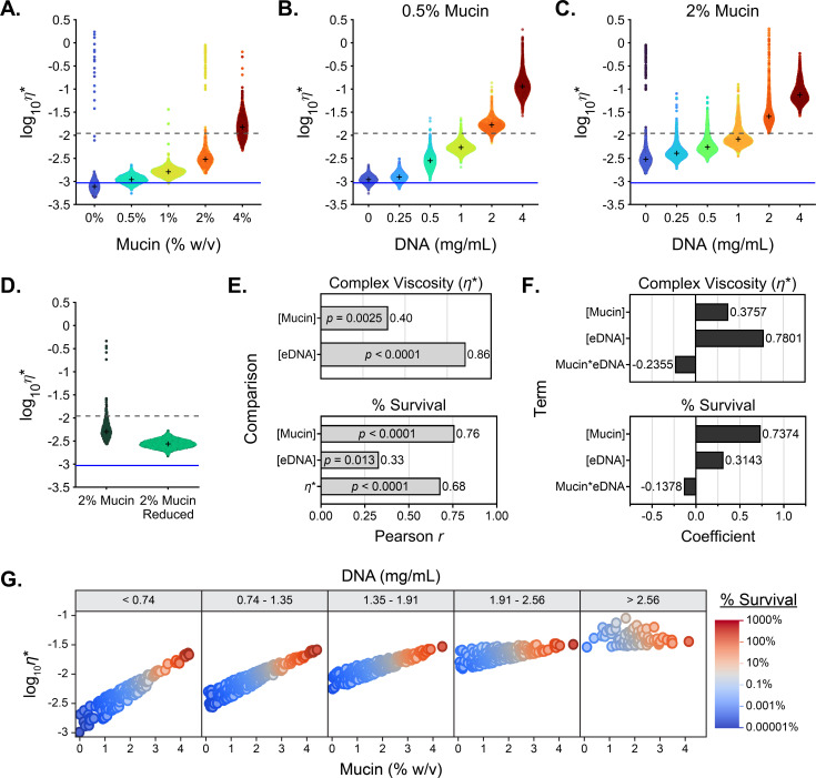 Violin plots feature viscoelasticity across increasing mucin and e DNA concentrations, and mucin reduction. Correlation relationships between mucus viscoelasticity, mucin concentration, and DNA concentration are featured in illustrations.