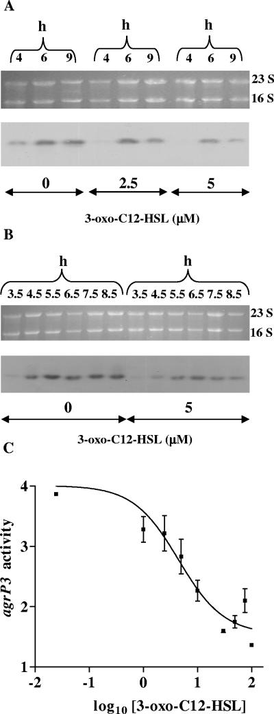 FIG. 6.