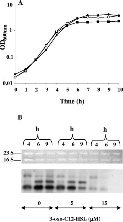 FIG. 5.