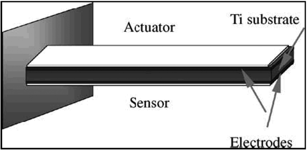 Figure 31