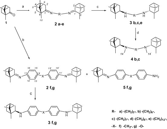 Scheme 1