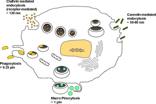 Figure 2.