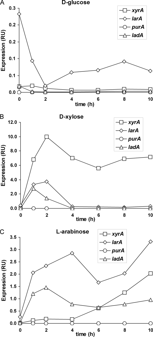 FIGURE 2.