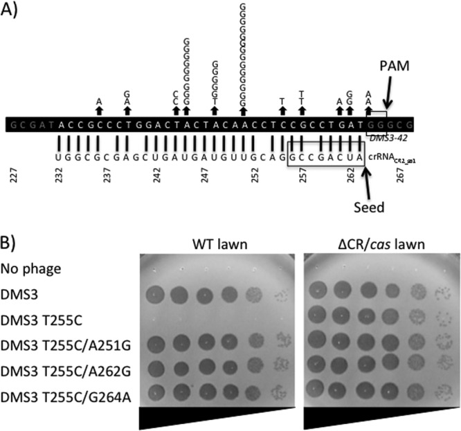 Fig 4