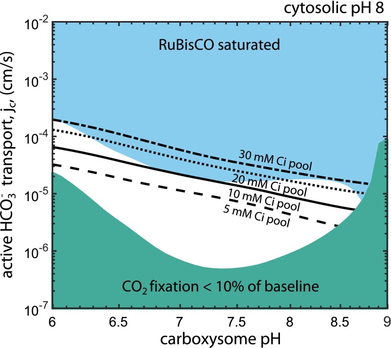 Fig. 5.