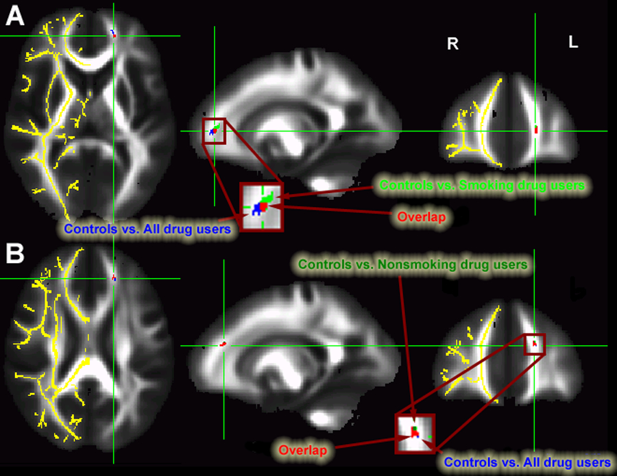 Figure 2: