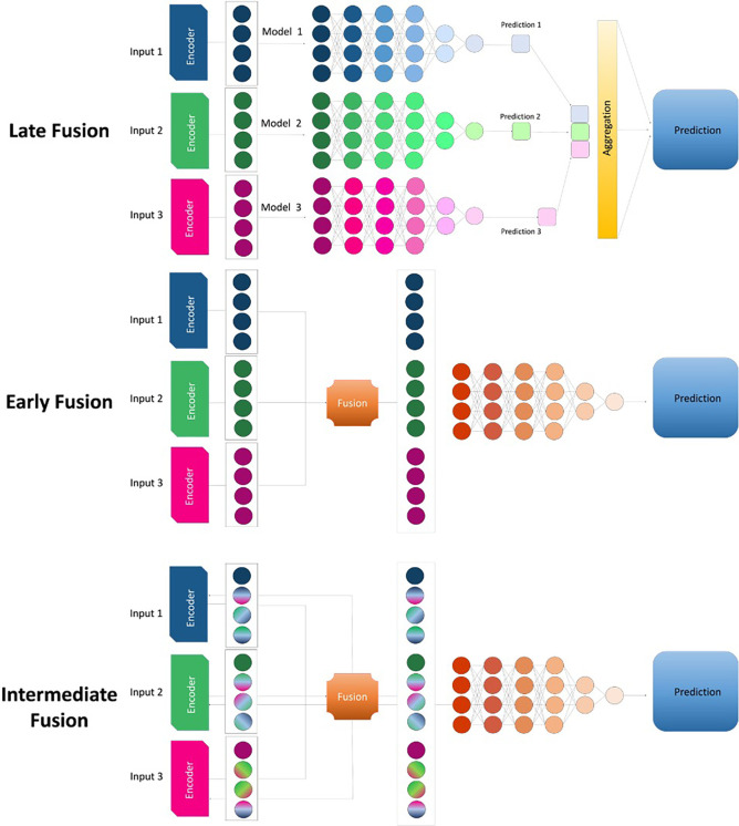 Diagram shows three approaches to fusing data types in the creation of a model. In the late fusion approach, independent models are built for each input, and the predictions from each model are combined to generate a single outcome prediction. In the early fusion approach, a shared representation is created from the input features, ignoring what modality the input features originate from, before the features are fed through the model. In the intermediate fusion approach, the model takes advantage of input modality information by learning intermodality correlations before learning a joint representation.