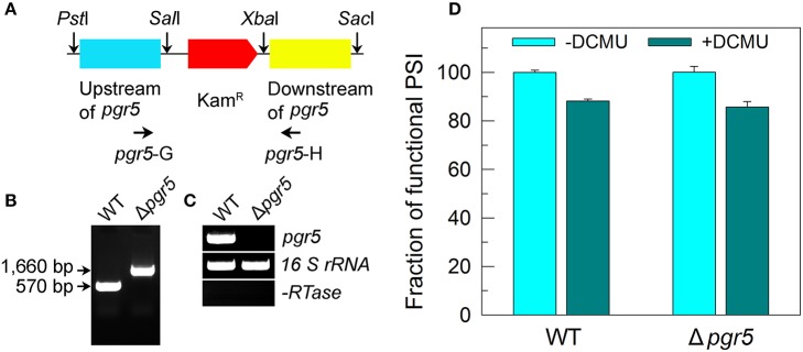 Figure 5