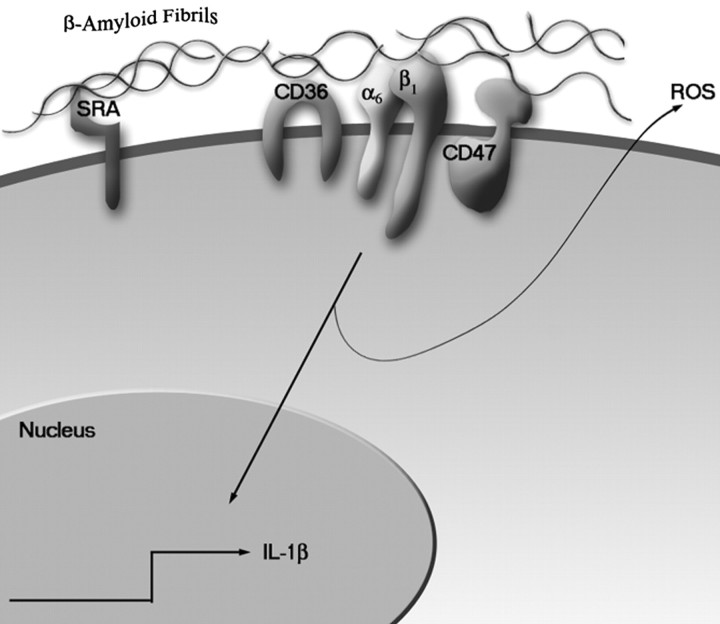 Fig. 10.