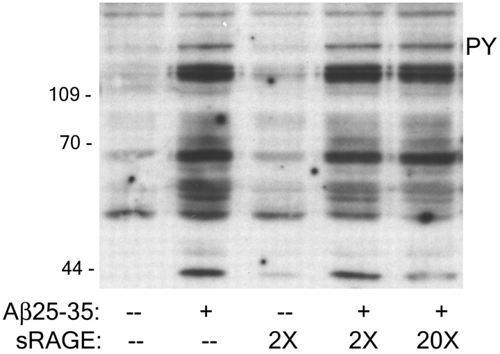 Fig. 9.