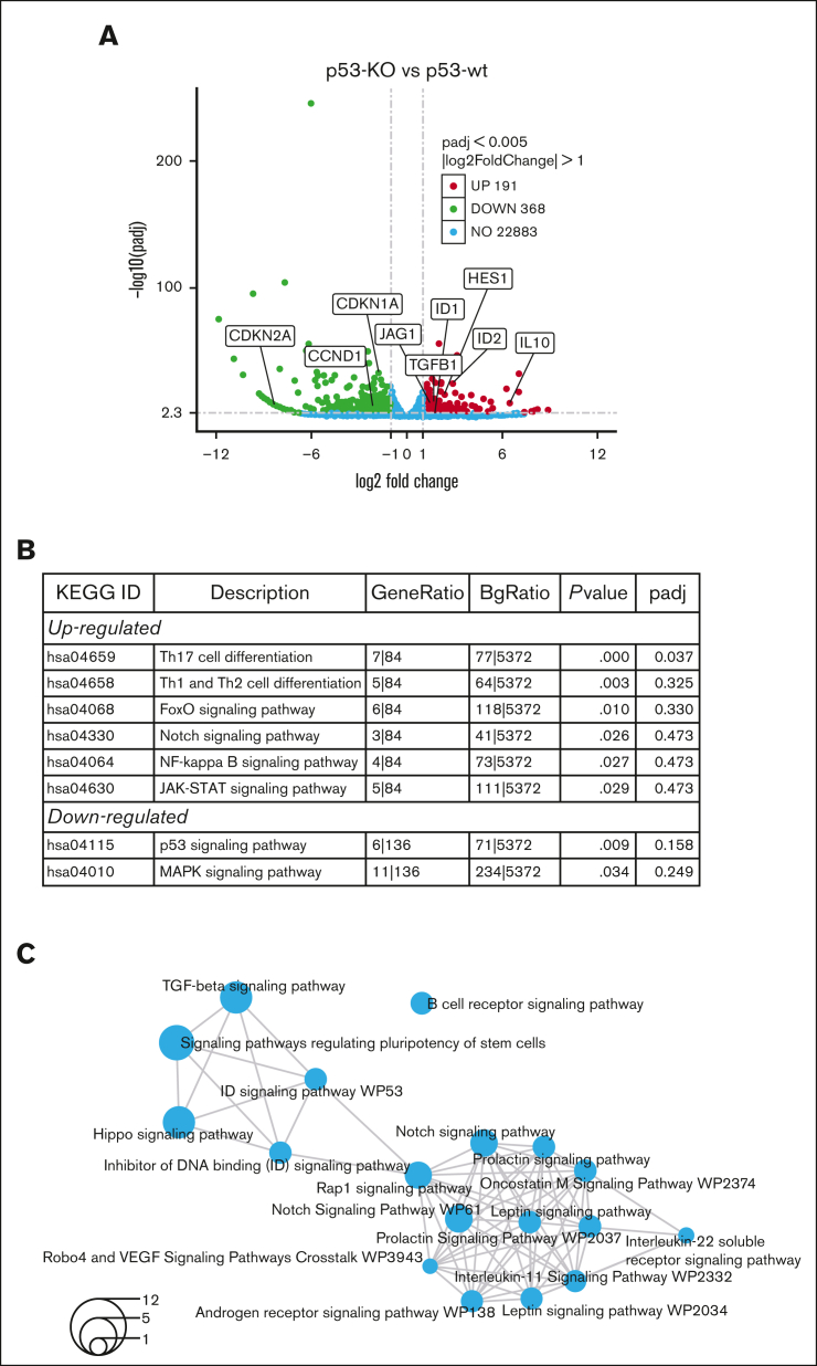 Figure 3.