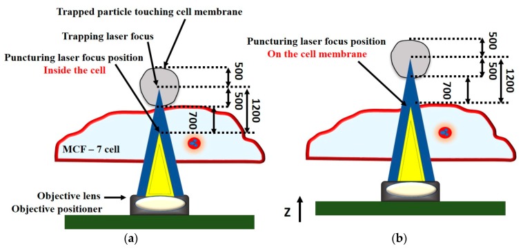 Figure 23