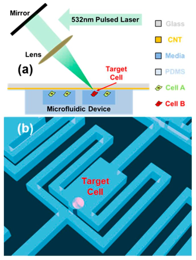 Figure 17