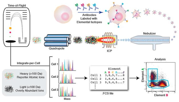 Figure 31