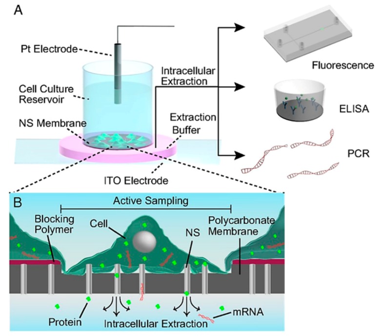 Figure 32