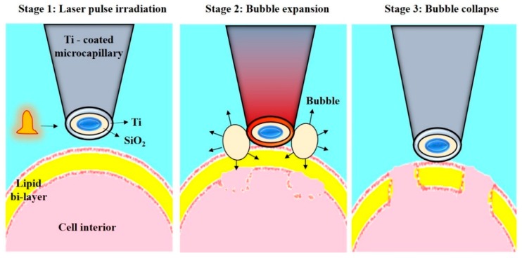 Figure 24