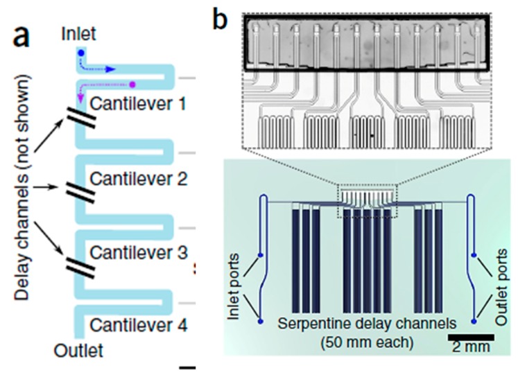 Figure 28