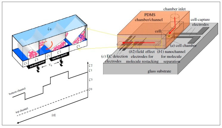 Figure 30