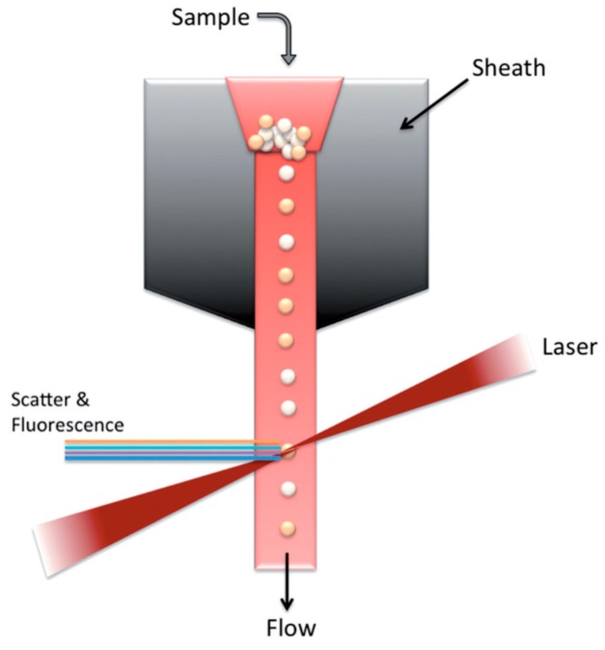 Figure 16