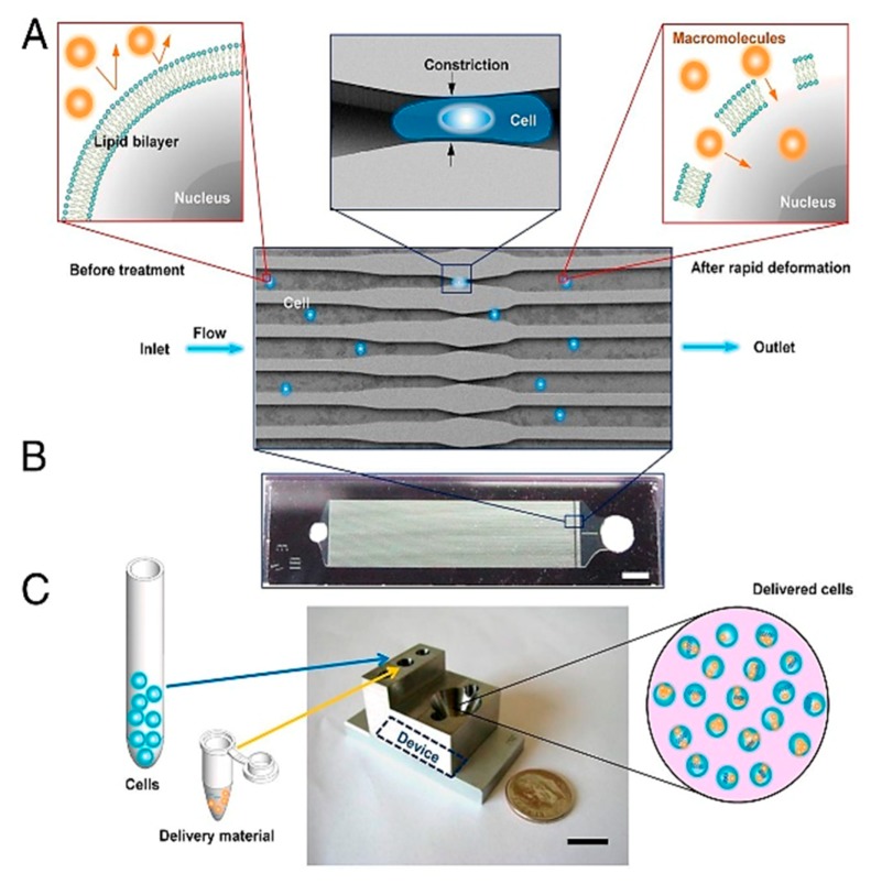 Figure 26